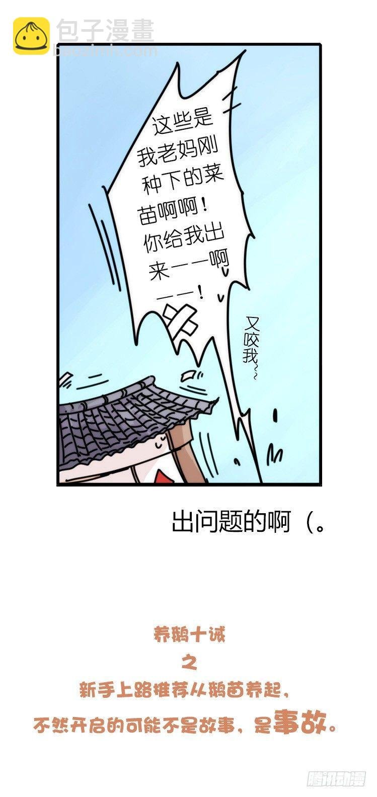 家有鹅霸：命运的邂逅