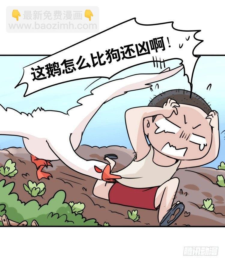家有鹅霸：内有猛……