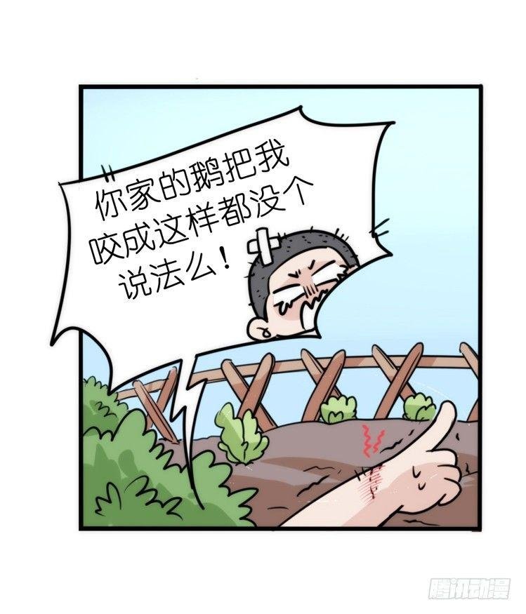 家有鹅霸：内有猛……