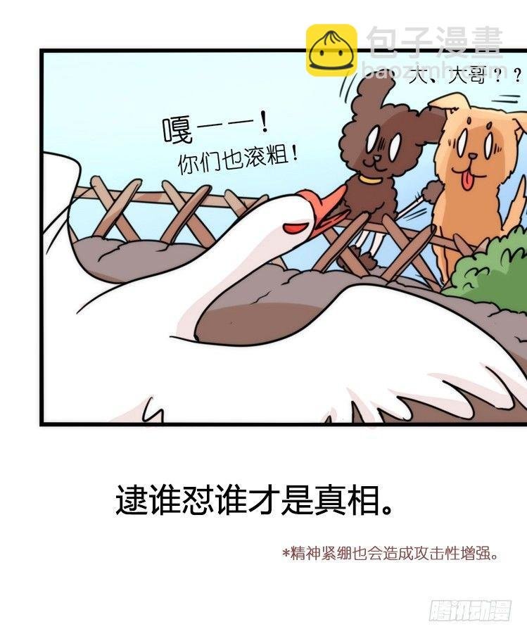 家有鹅霸：内有猛……