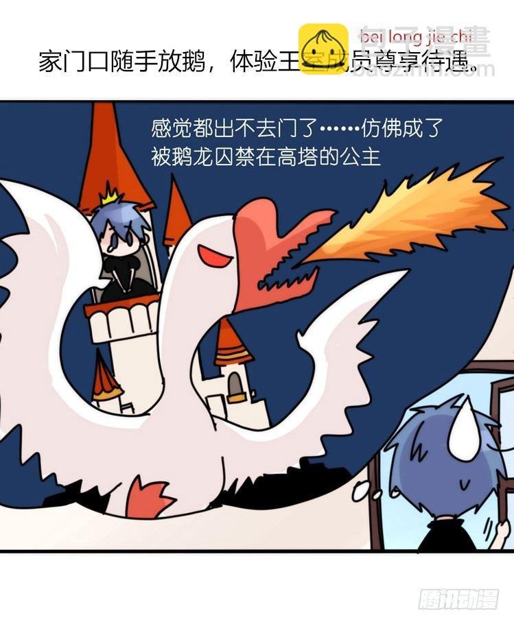家有鹅霸：内有猛……
