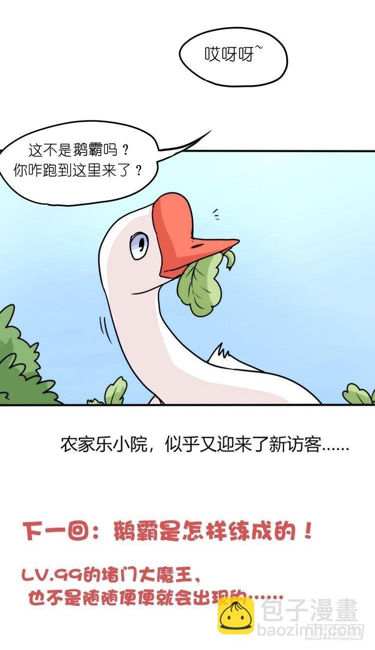 家有鹅霸：内有猛……