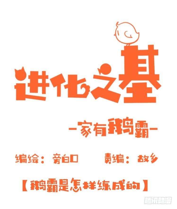 家有鹅霸：鹅霸是怎么练成的