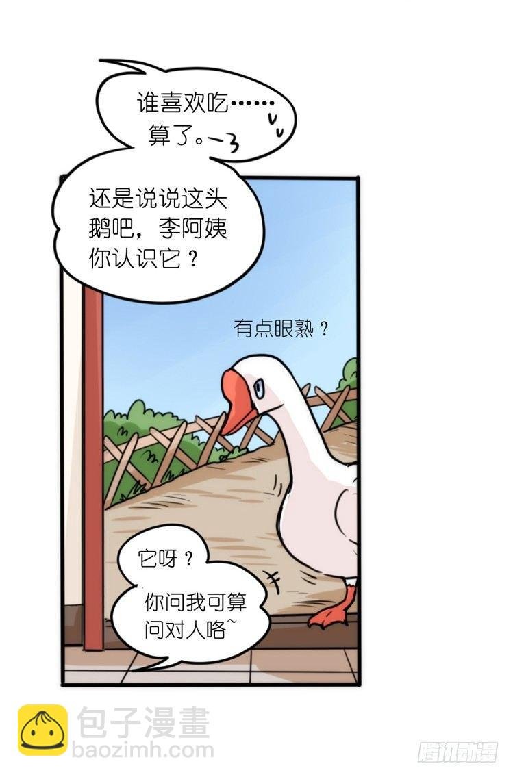 家有鹅霸：鹅霸是怎么练成的