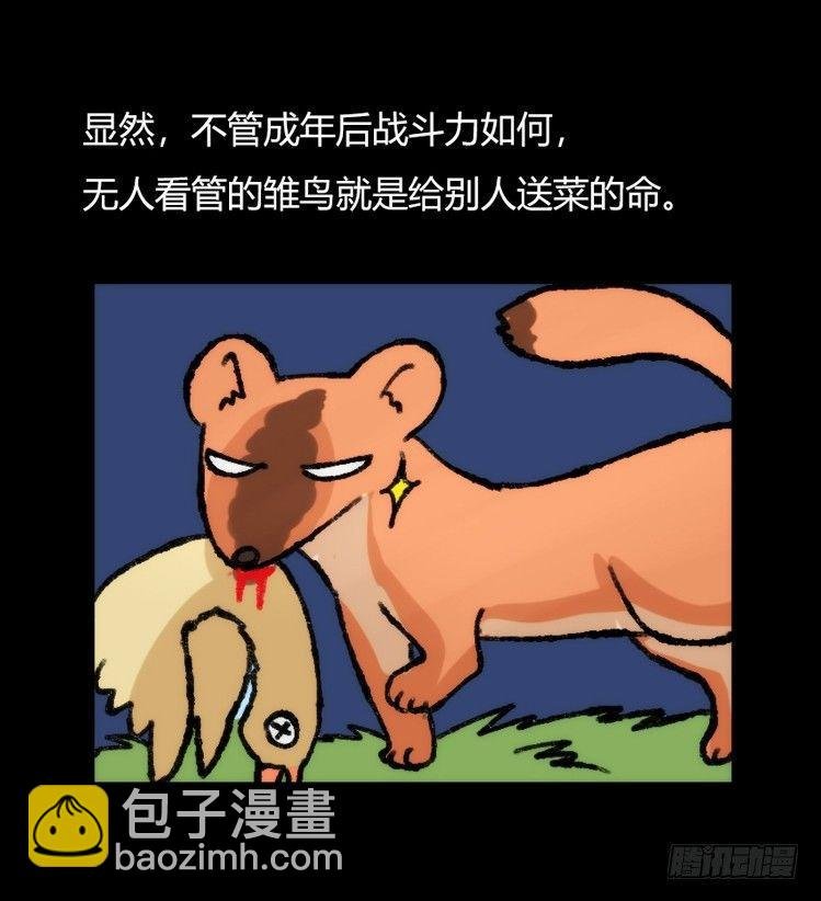 家有鹅霸：鹅霸是怎么练成的