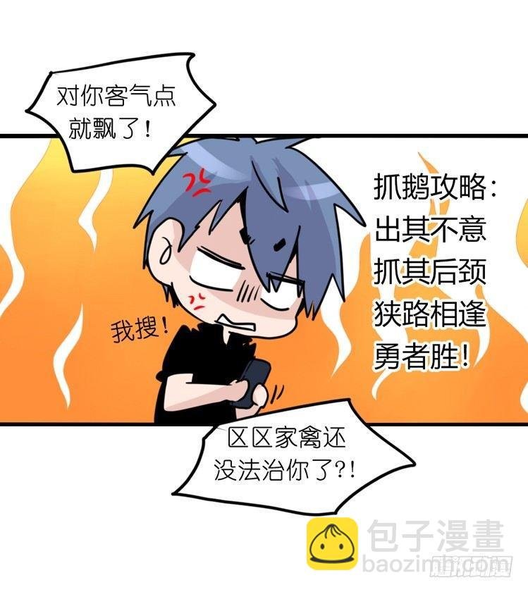 家有鹅霸：鹅霸是怎么练成的