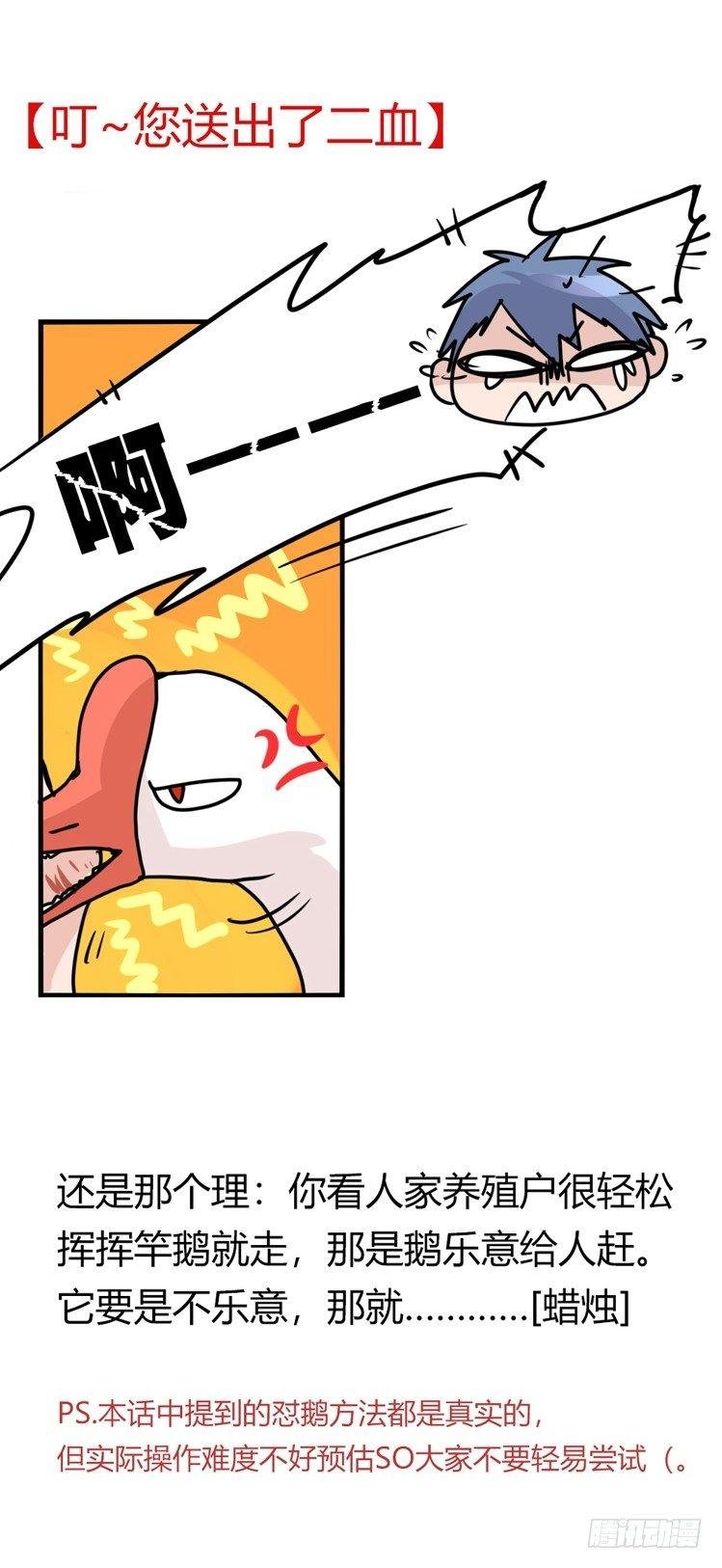 家有鹅霸：鹅霸是怎么练成的