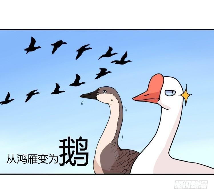 家有鹅霸：最难走的套路
