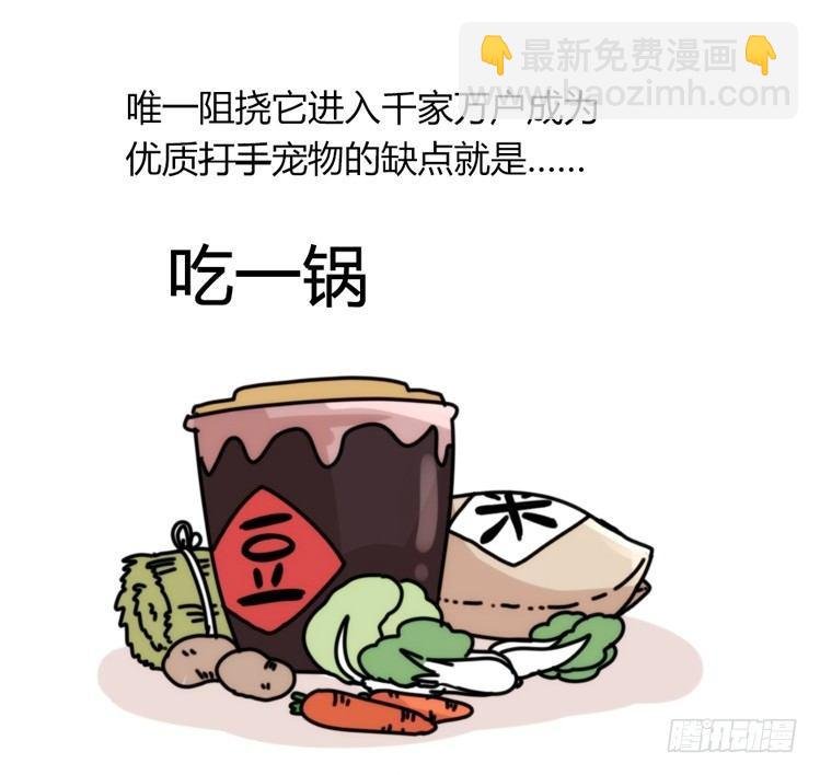 家有鹅霸：最难走的套路