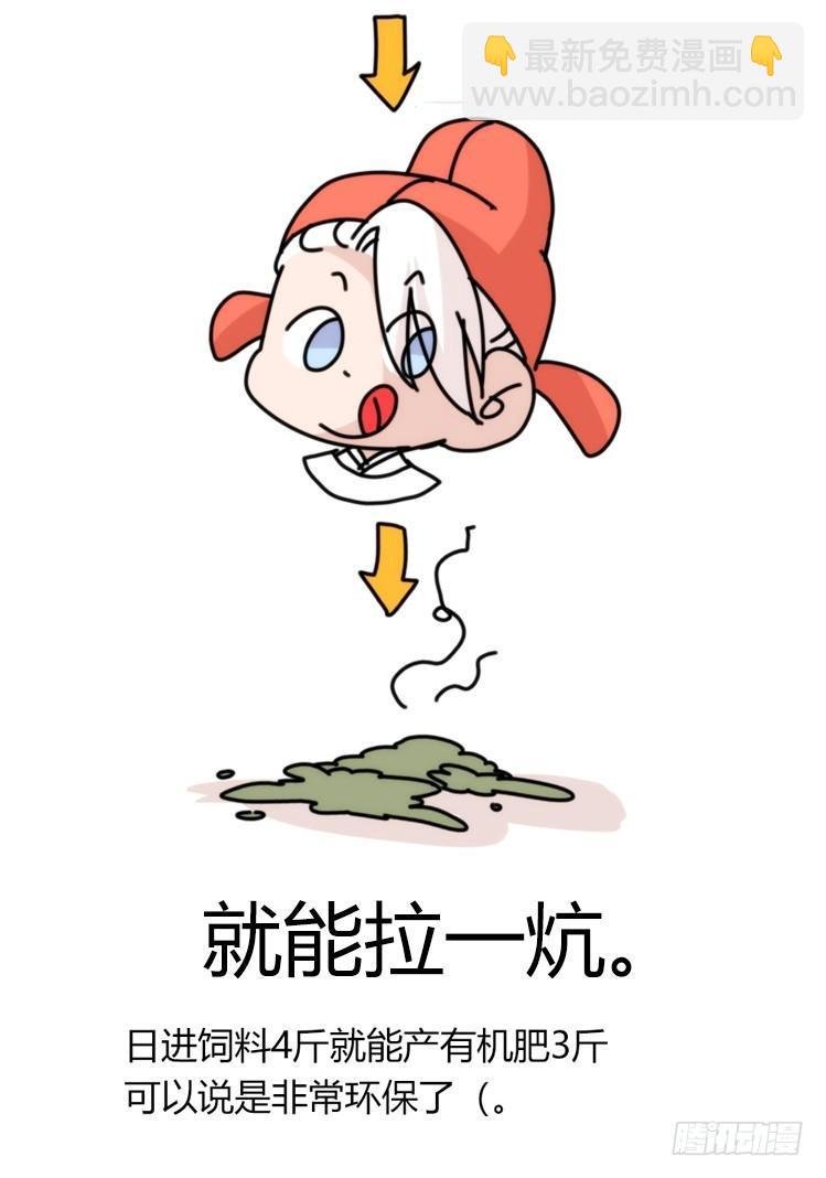 家有鹅霸：最难走的套路