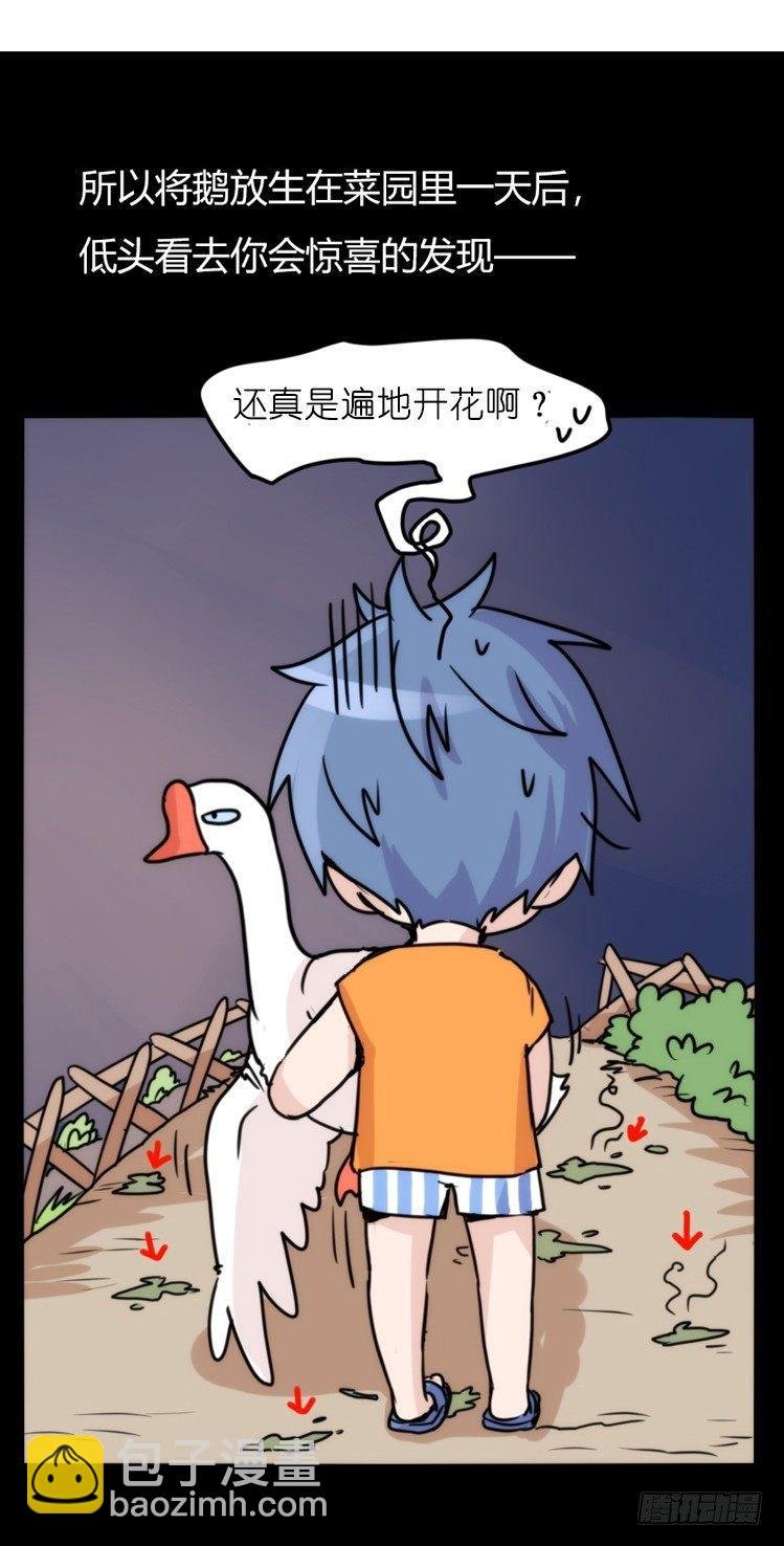 家有鹅霸：最难走的套路