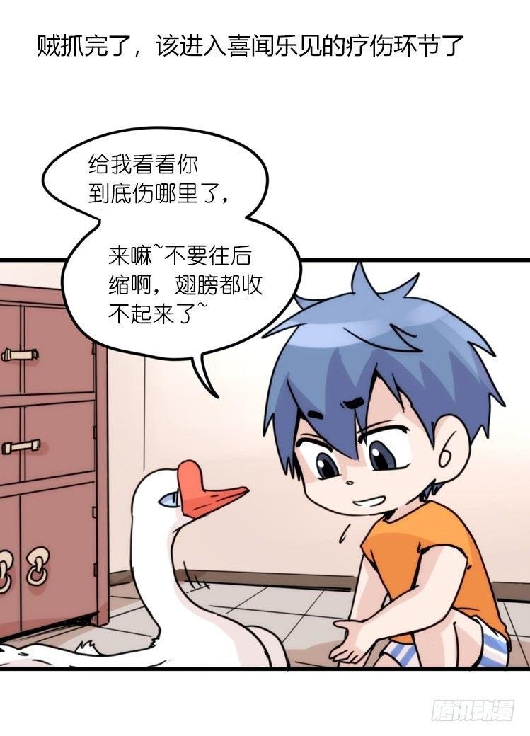 家有鹅霸：最难走的套路