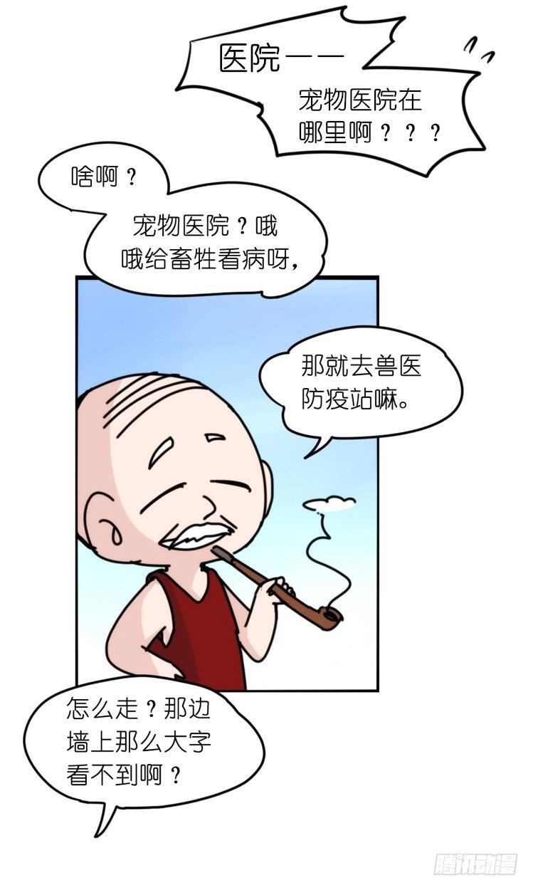 家有鹅霸：最难走的套路