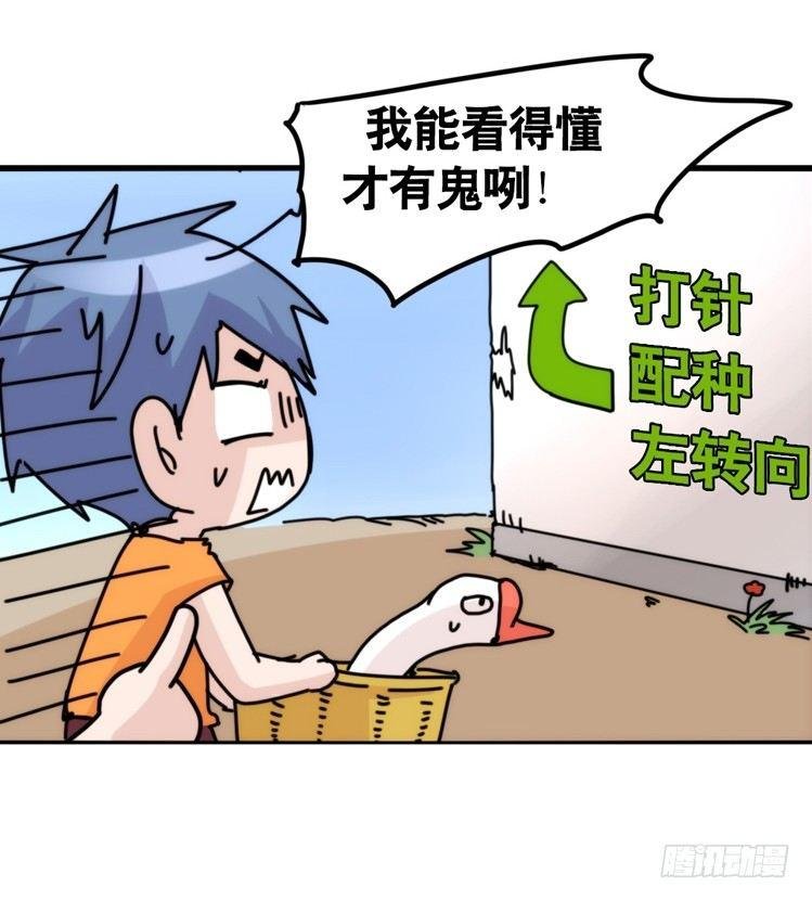 家有鹅霸：最难走的套路