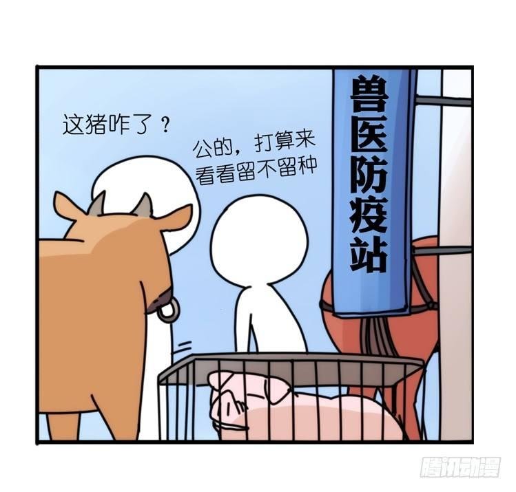 家有鹅霸：最难走的套路