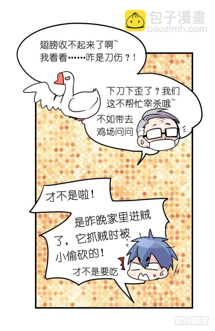 家有鹅霸：最难走的套路