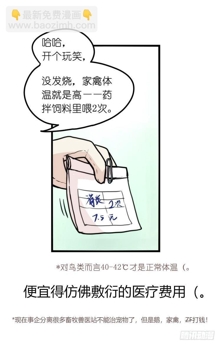 家有鹅霸：最难走的套路