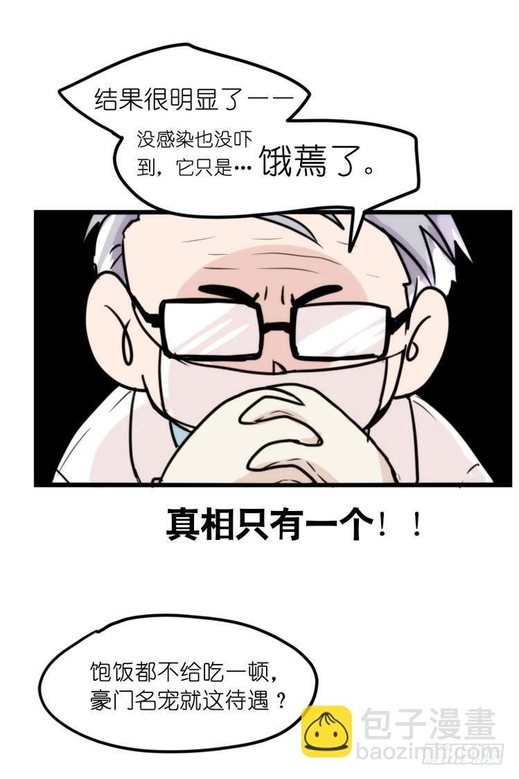 家有鹅霸：就是这样的霸霸！