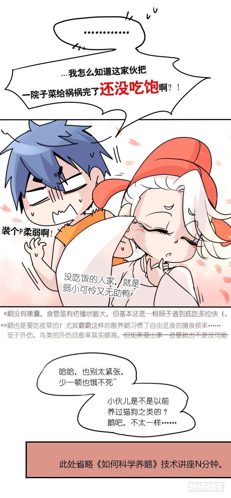 家有鹅霸：就是这样的霸霸！