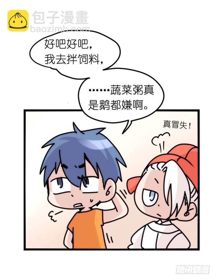 家有鹅霸：就是这样的霸霸！