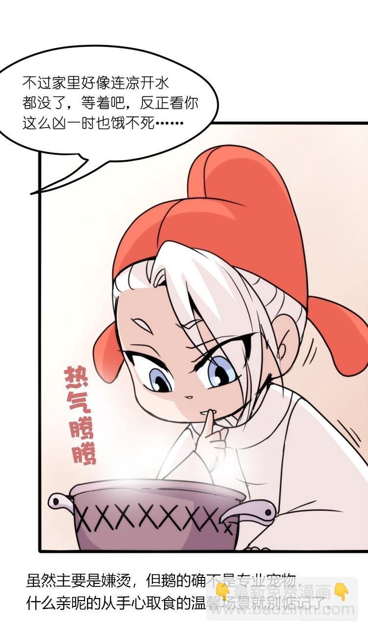 家有鹅霸：就是这样的霸霸！