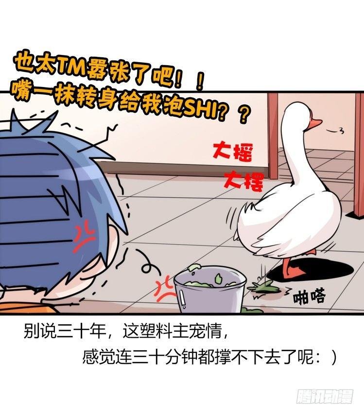 家有鹅霸：就是这样的霸霸！