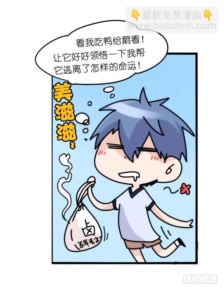 家有鹅霸：就是这样的霸霸！