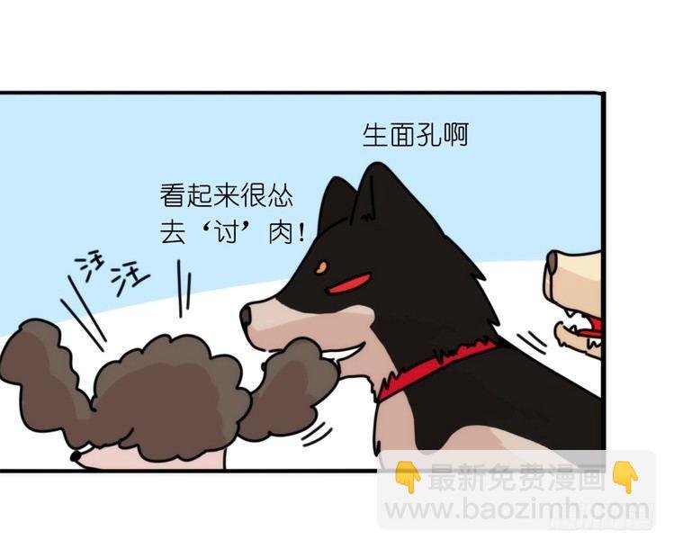 家有鹅霸：就是这样的霸霸！