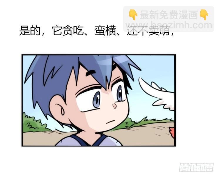 家有鹅霸：就是这样的霸霸！