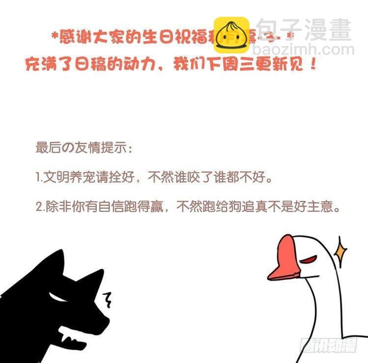 家有鹅霸：就是这样的霸霸！