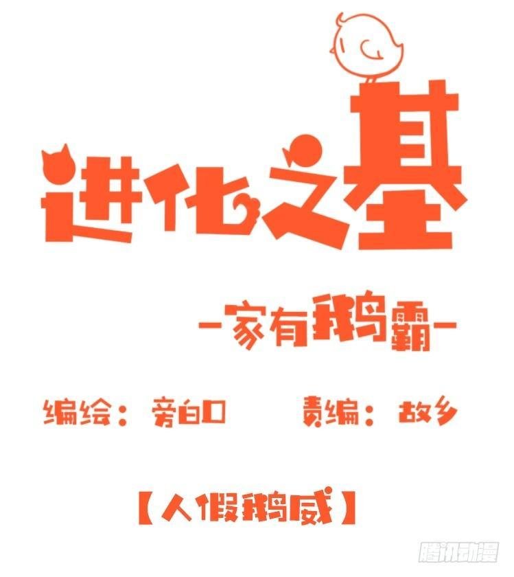 家有鹅霸：人假鹅威是种什么体验