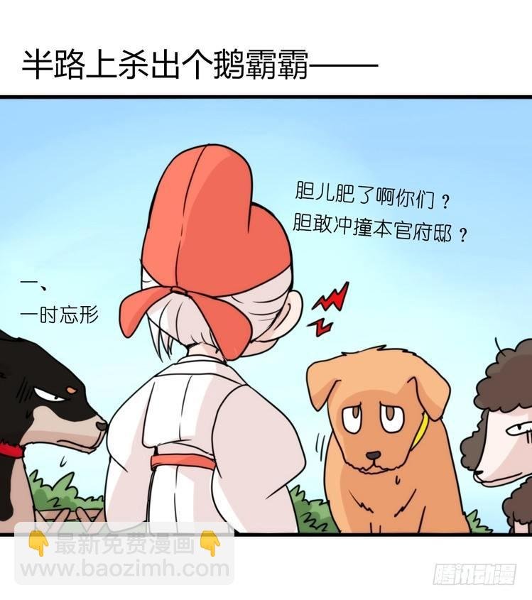 家有鹅霸：人假鹅威是种什么体验