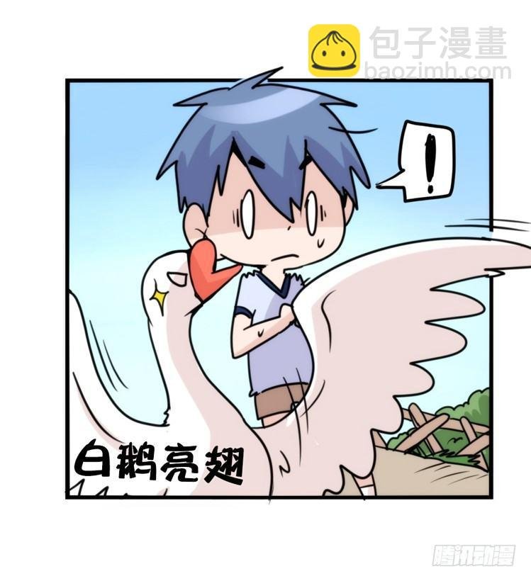 家有鹅霸：人假鹅威是种什么体验