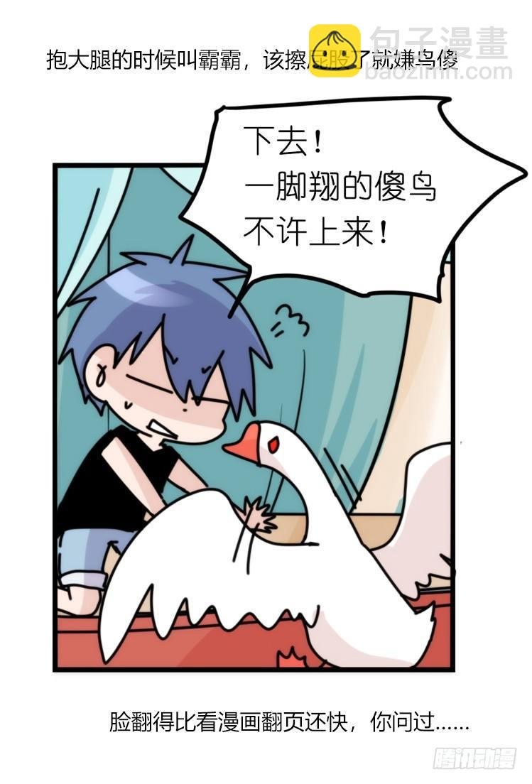 家有鹅霸：信霸霸，得……