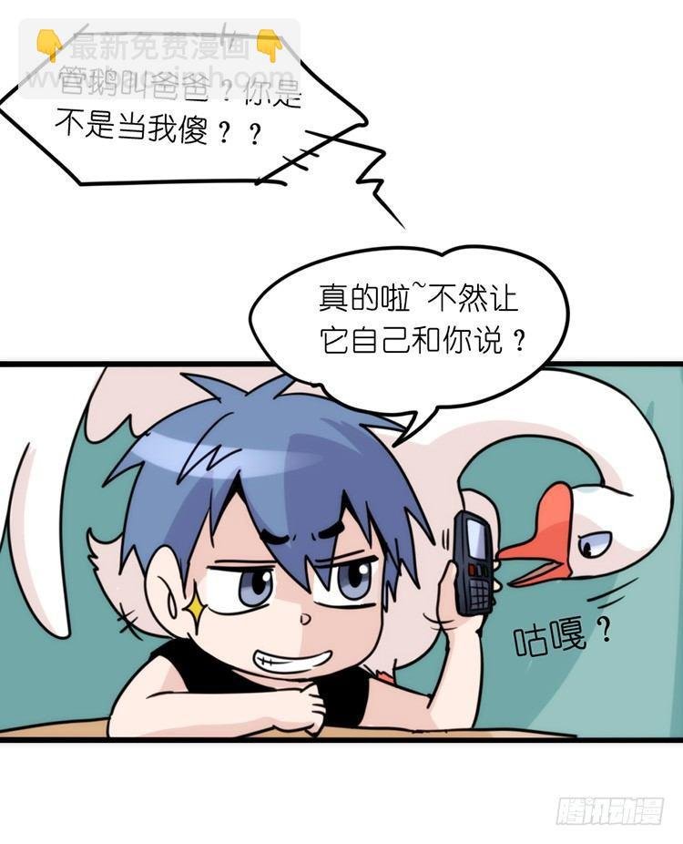 家有鹅霸：信霸霸，得……