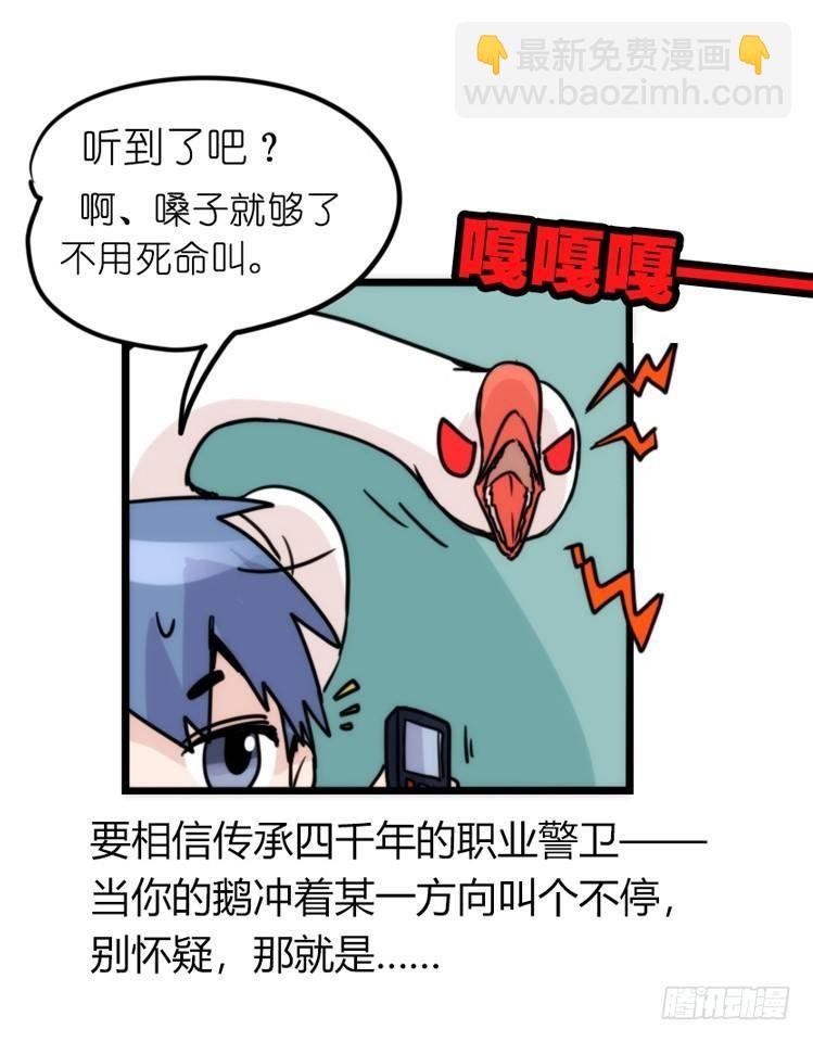 家有鹅霸：信霸霸，得……