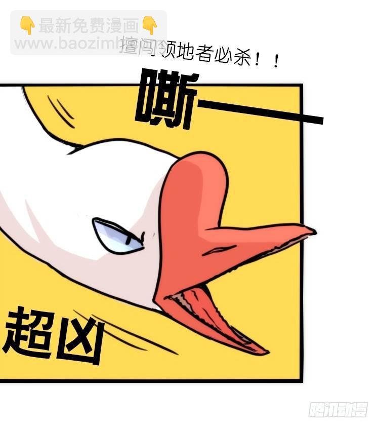 家有鹅霸：信霸霸，得……