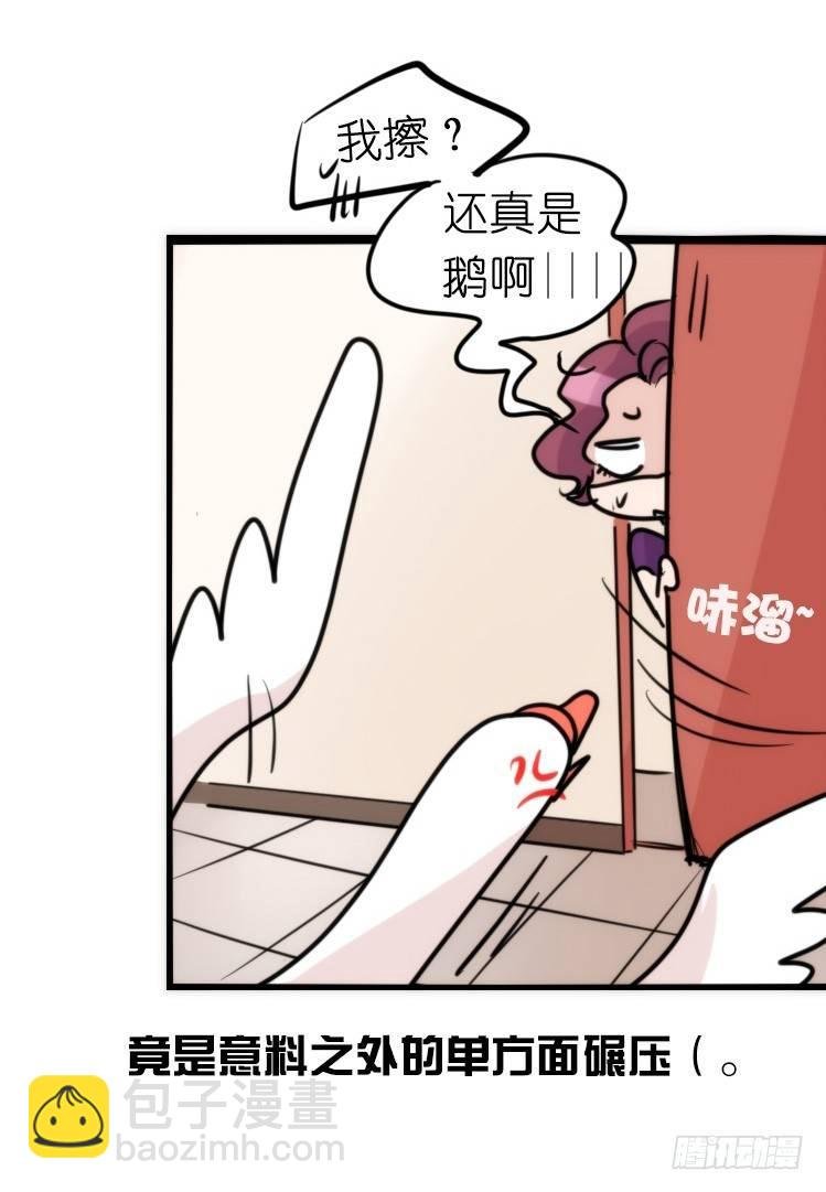 家有鹅霸：信霸霸，得……
