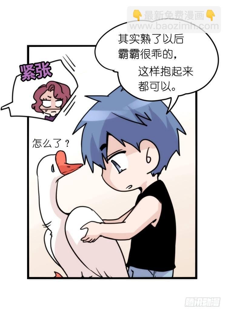 家有鹅霸：信霸霸，得……
