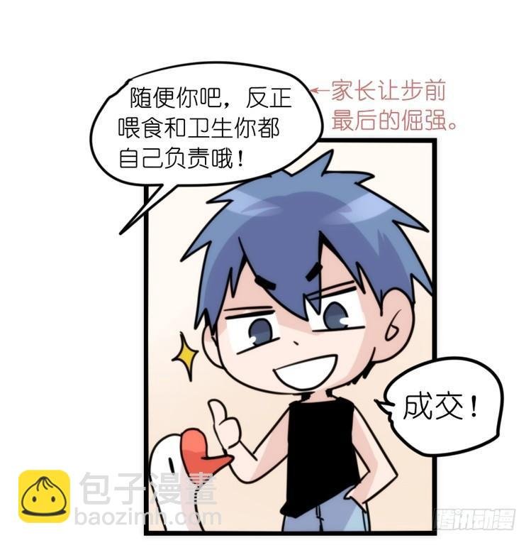 家有鹅霸：信霸霸，得……