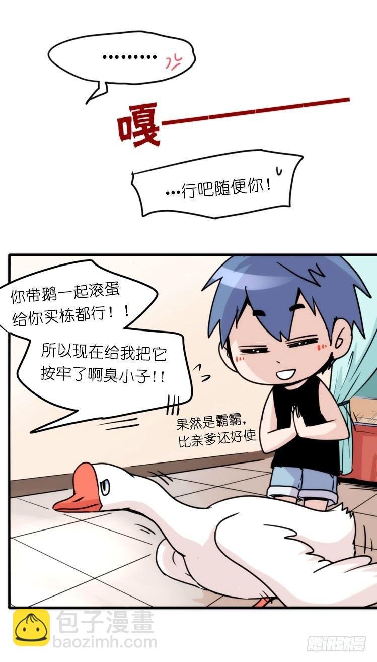 家有鹅霸：信霸霸，得……