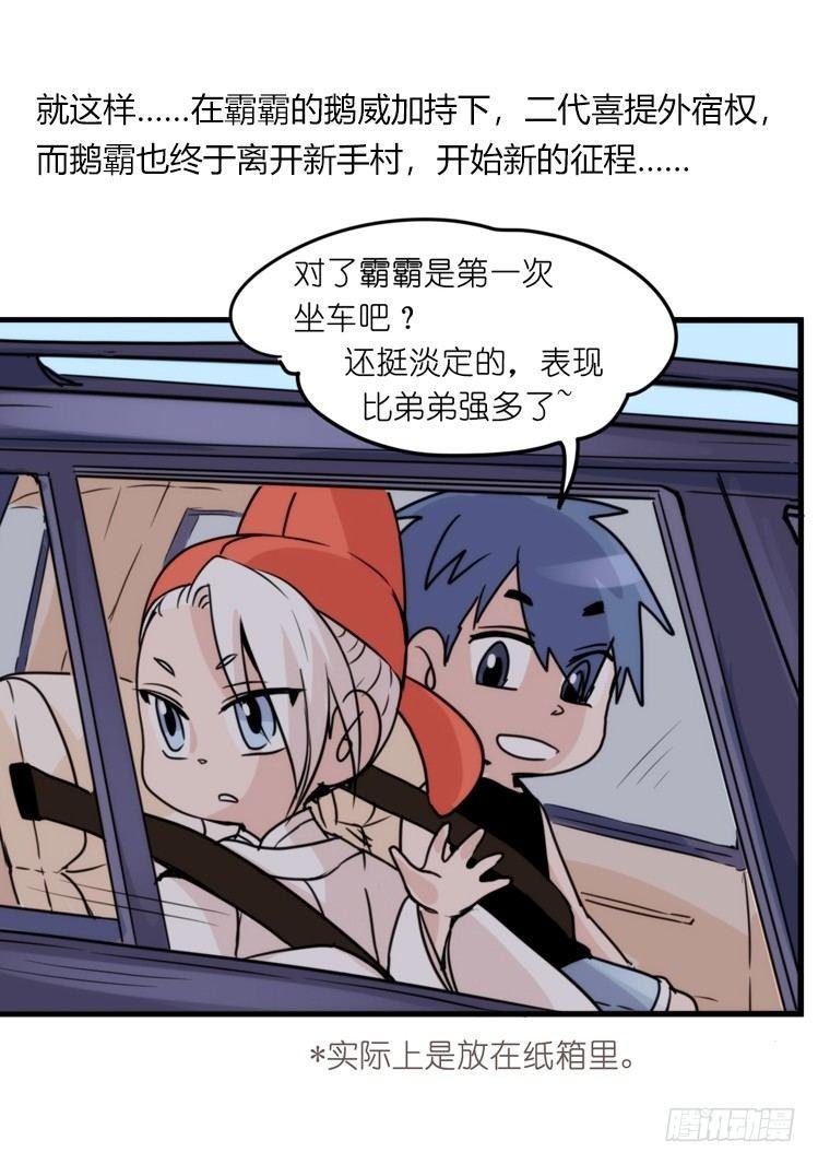 家有鹅霸：信霸霸，得……