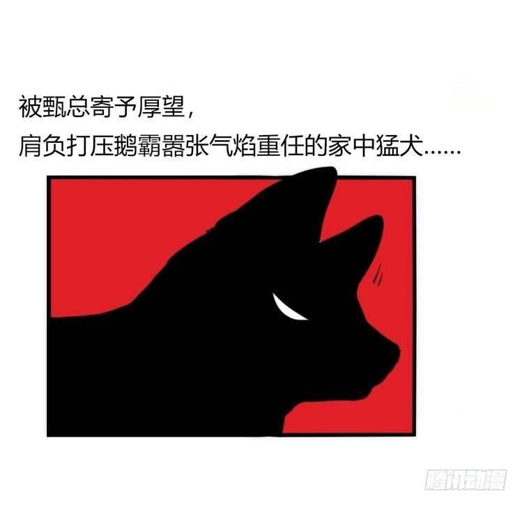 家有鹅霸：万事开头难