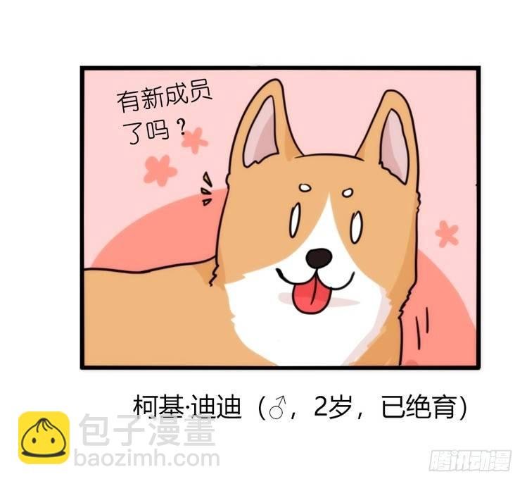家有鹅霸：万事开头难