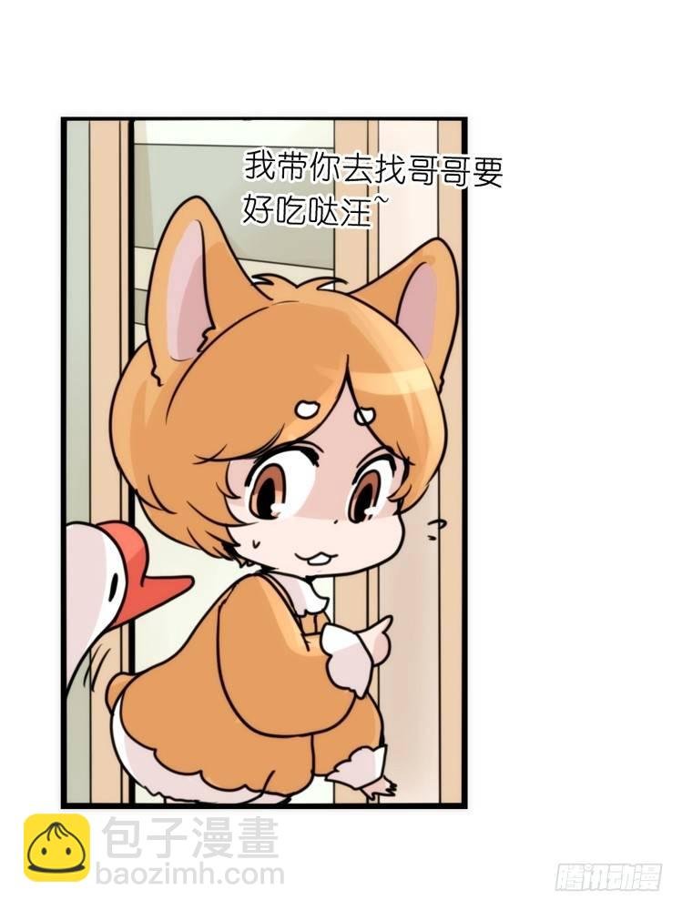 家有鹅霸：万事开头难