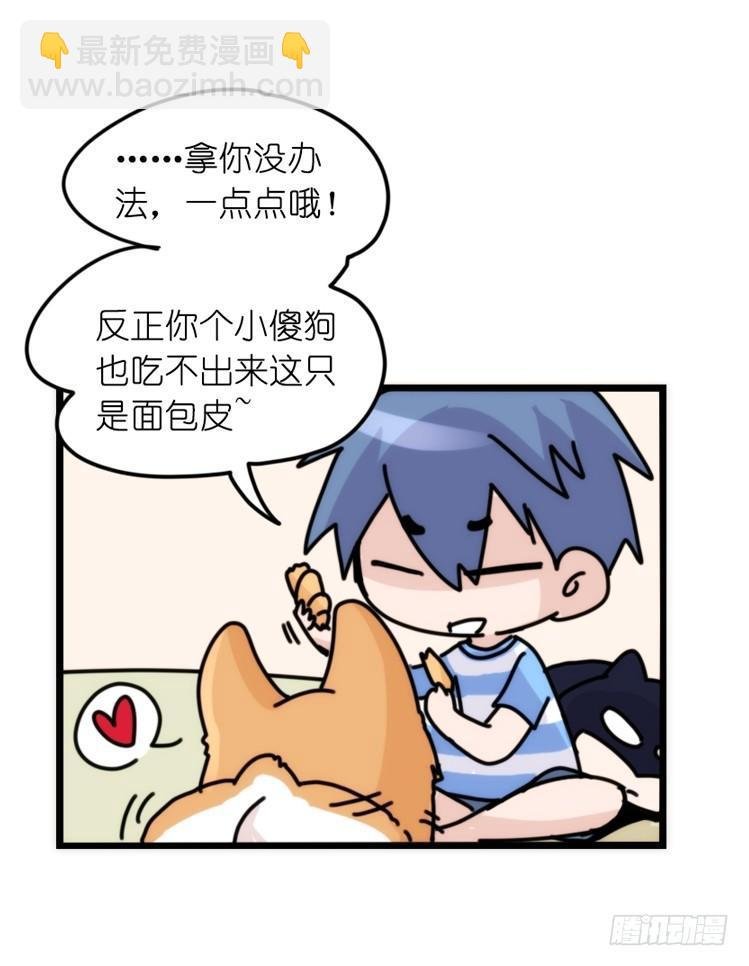 家有鹅霸：万事开头难