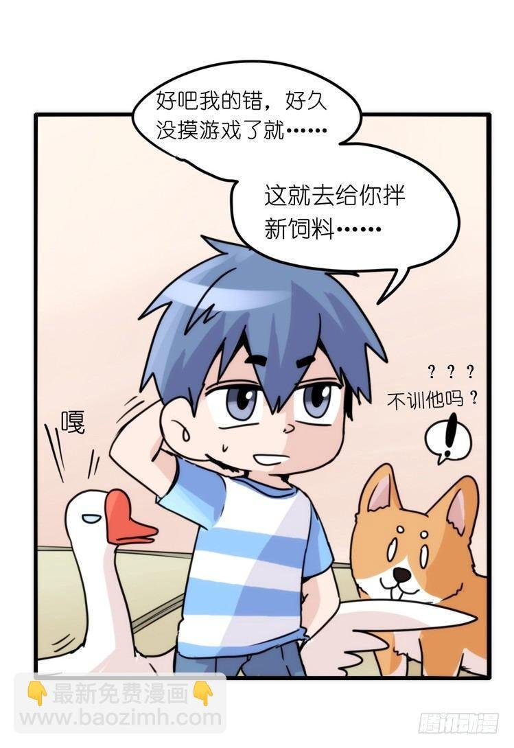 家有鹅霸：万事开头难