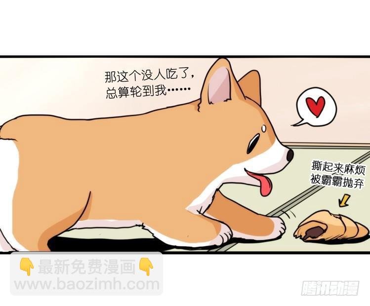 家有鹅霸：万事开头难