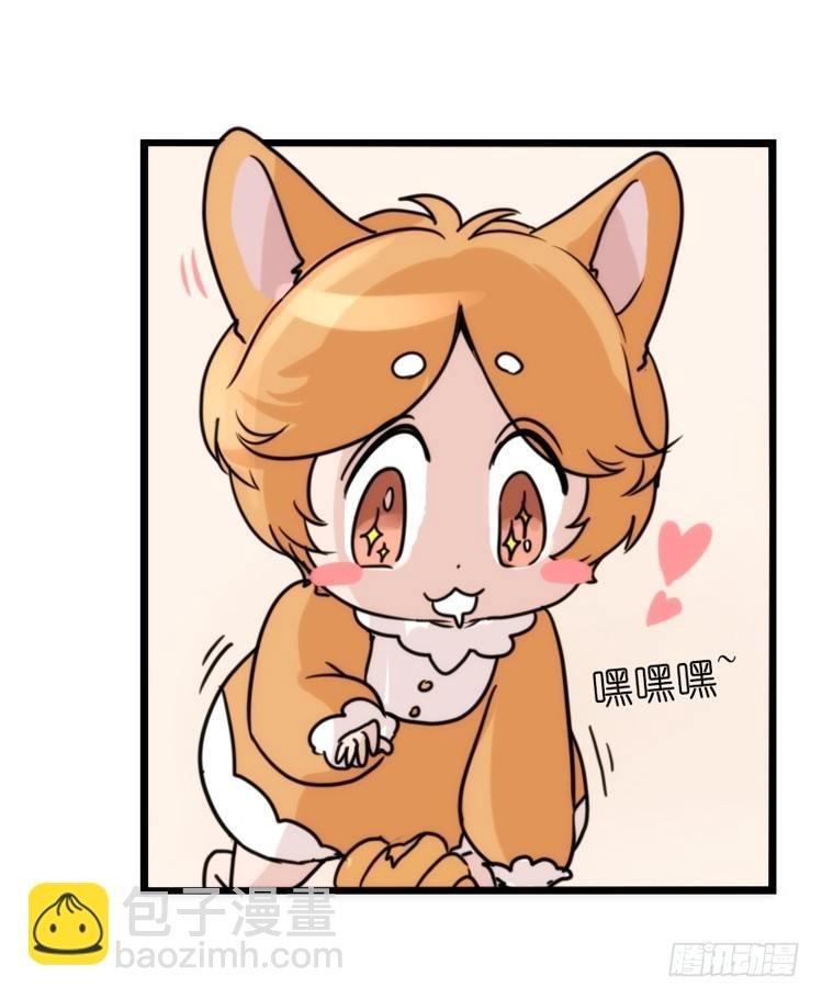 家有鹅霸：万事开头难