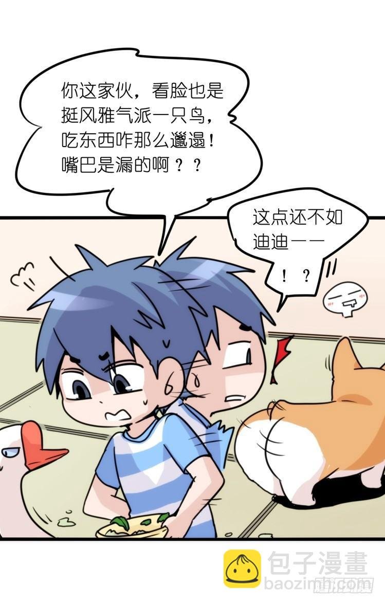 家有鹅霸：万事开头难